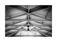 Symmetry in Timber
