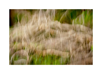 Cascading Canopy