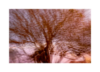 Entangled Memory