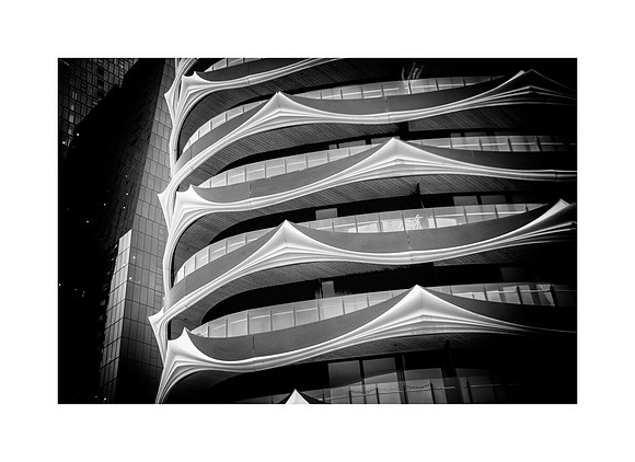 Form Studies