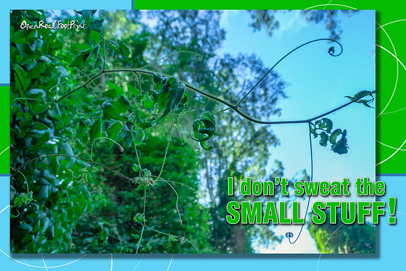 I don't sweat the small stuff |OFa1385bg|