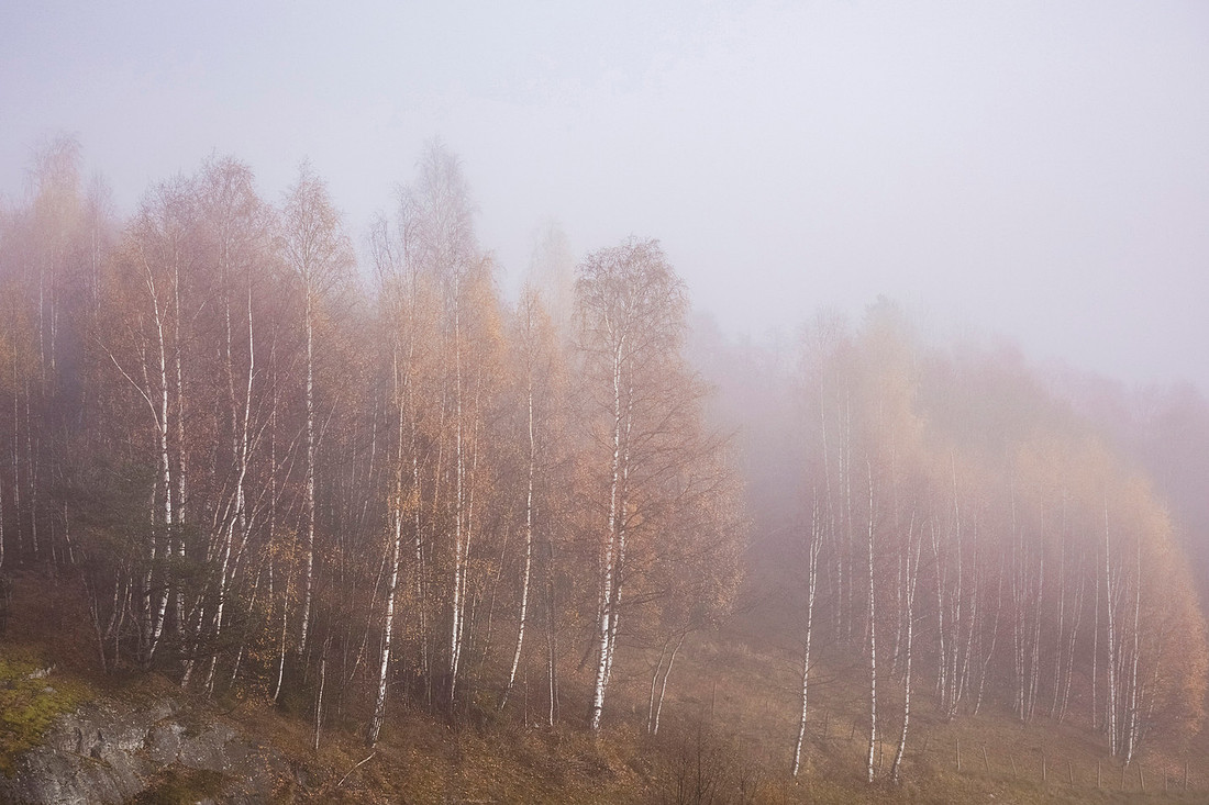 As The Fog Lifts