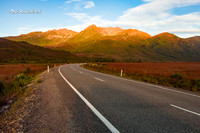 Road to Iron Blow Lookout, Tasmania |OFa1355|
