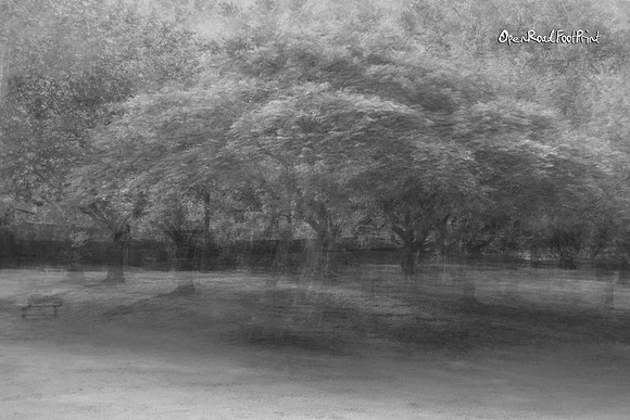 Prompt : PEP VENTOSA |OFa201220|