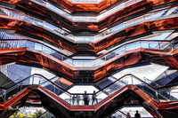 Front on, New York hive |OFa1309|