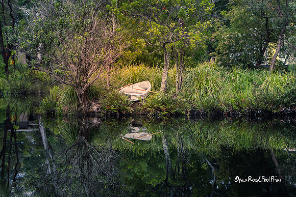 Reflections - Byron Bay, NSW |OFa1015|