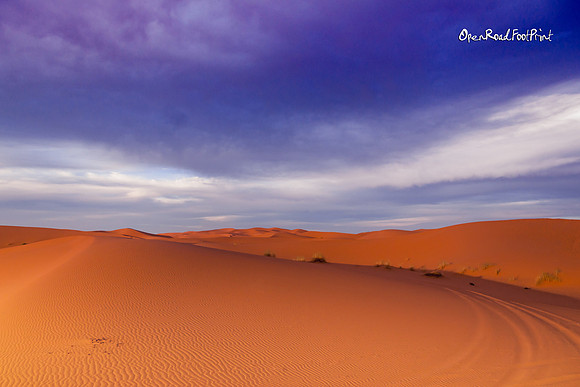 Sahara Desert, Morocco |OFs1369|