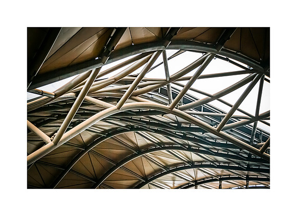 Under The Roof