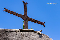 New life, St. Louis Cemetery No. 1 |OFa1307|