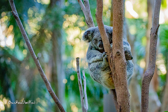 Peekaboo |OFa1090|