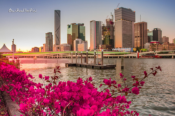 In bloom at Southbank |OFa1139|