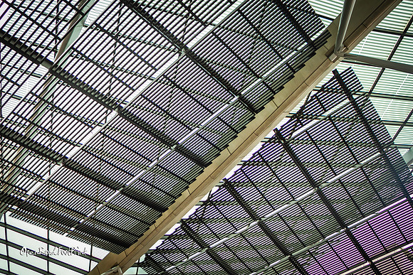 Rooftop |OFa1110|