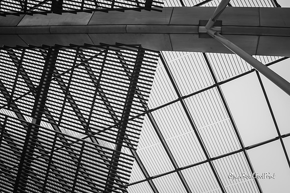 Rooftop |OFa1113|