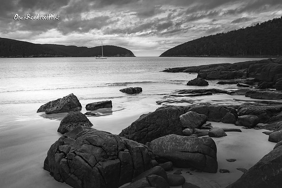 Mono Fortescue Bay |OFa1237|