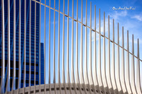 Overhead, the Oculus. |OFa1376|