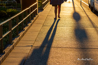 Shadows, Sunshine Coast, Qld |OFa1135|