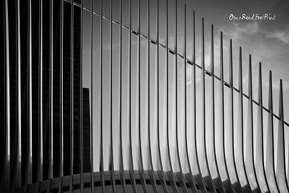 Overhead, the Oculus, mono |OFa1377|