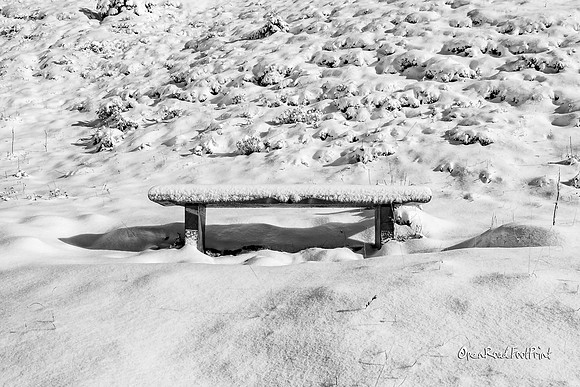 Thankful seat |OFa1449|
