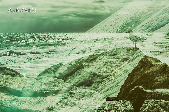 Prompt : ERROR |OFa200829|