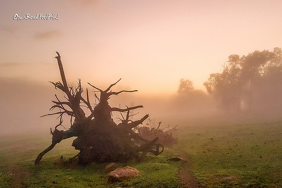 Prompt : MORNING FOG |OFa200915|