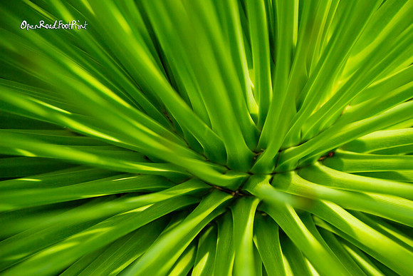Prompt : ZOOM OUT |OFa201226|