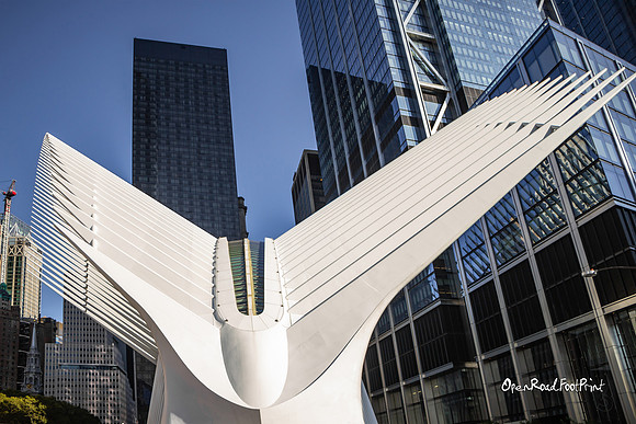 From a different angle, the Oculus. |OFa1382|