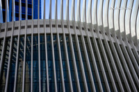 Reflection on the Oculus. |OFa1379|