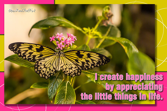 Appreciate the little things. |OFa1476bg|