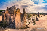 Pinnacles, Cervantes, Western Australia |OFa1165|