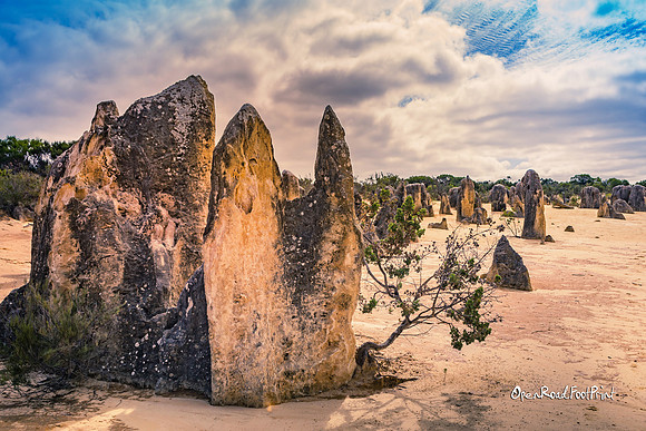 Pinnacles, Cervantes, Western Australia |OFa1165|