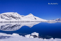 Snow reflections |OFs1020|