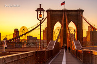 Brooklyn Bridge sunrise |OFa1061|