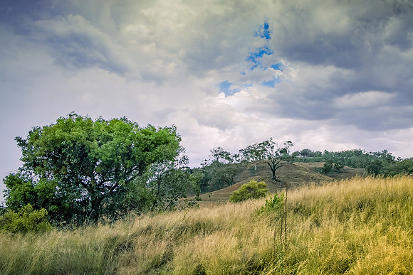 Peeking blue |OFa1277|