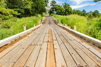 Road to… ?  |OFa1265|