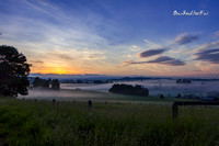 Peeking sun |OFa1283|