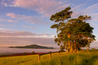 Morning glow |OFa1285|