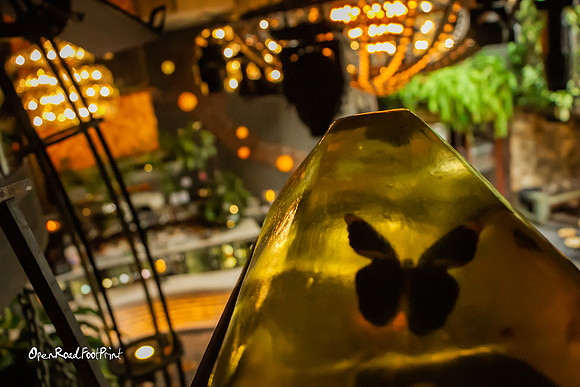 Butterfly views |OFa1182|