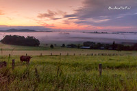 Yungaburra sunrise  |OFa1267|