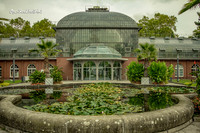 Palmengarten |OFa1525|