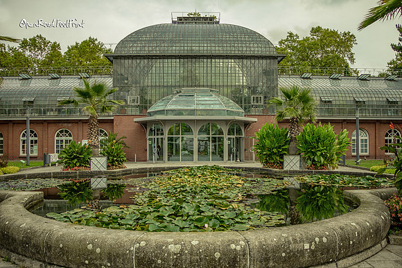 Palmengarten |OFa1525|