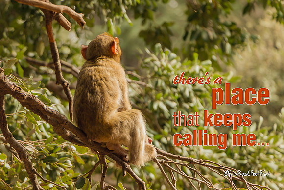 Take time to contemplate … |OFa1017|