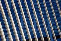The Oculus. |OFa1378|
