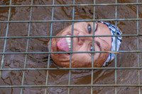 ob09 trenches